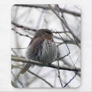 Northern Pygmy Owl Mouse Mat