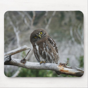 Northern Pygmy Owl Mouse Mat