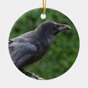 Northern Raven Ceramic Tree Decoration