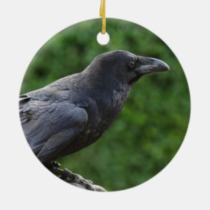 Northern Raven Ceramic Tree Decoration