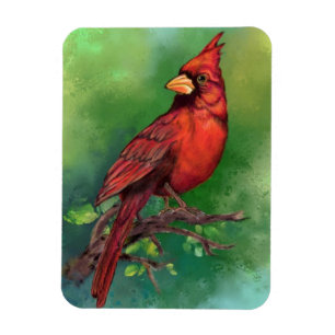 Northern Red Cardinal Magnet