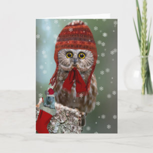 Northern Saw-whet Owl Christmas Holiday Card