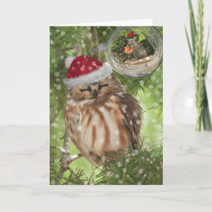 Northern Saw-whet Owl Christmas Holiday Card