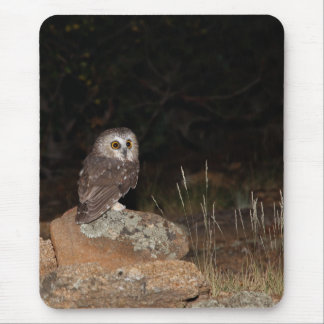 Northern Saw Whet Owl hunting at night Mouse Mat