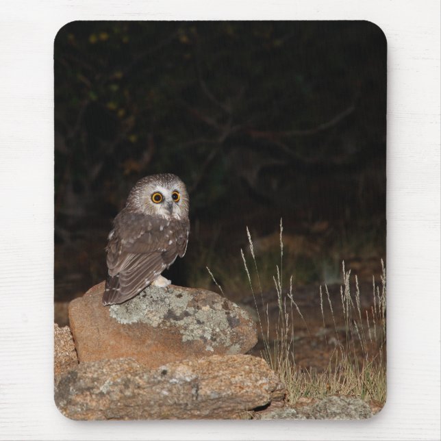 Northern Saw Whet Owl hunting at night Mouse Mat (Front)