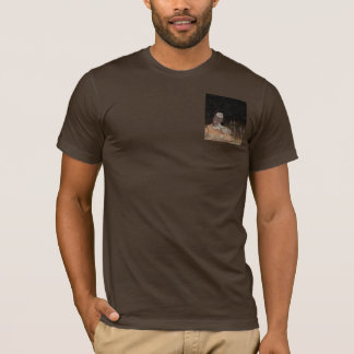 Northern Saw Whet Owl hunting at night T-Shirt
