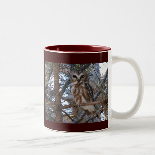 Northern Saw-Whet Owl in Pine Tree Two-Tone Coffee Mug (Right)