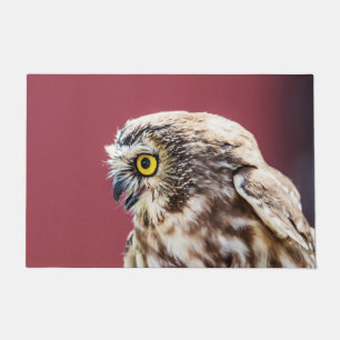 Northern Saw-Whet Owl Portrait Doormat