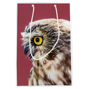 Northern Saw-Whet Owl Portrait Medium Gift Bag