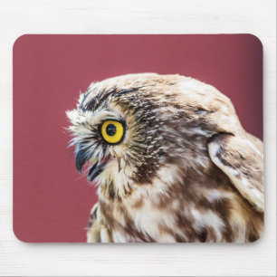 Northern Saw-Whet Owl Portrait Mouse Mat