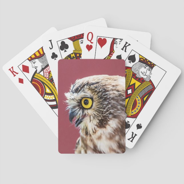 Northern Saw-Whet Owl Portrait Playing Cards (Back)