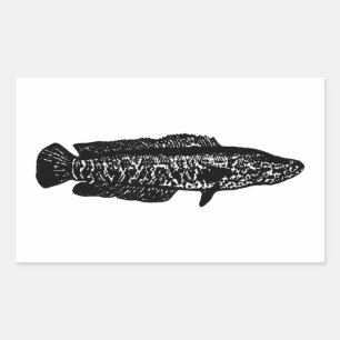 Northern Snakehead Rectangular Sticker