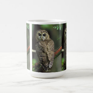 Northern Spotted Owl Coffee Mug