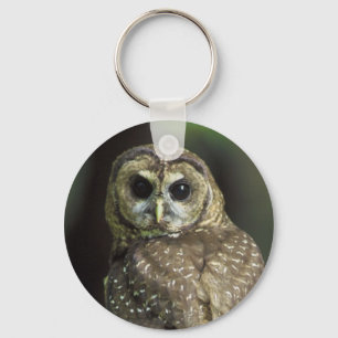 Northern Spotted Owl Key Ring