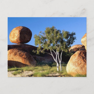 Northern Territory, Australia Postcard