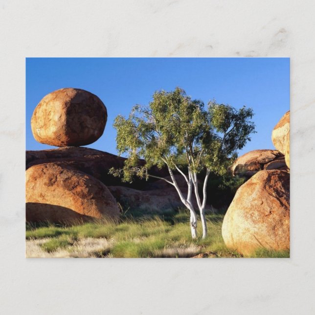 Northern Territory, Australia Postcard (Front)
