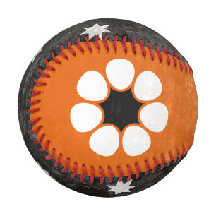 Northern Territory Baseball