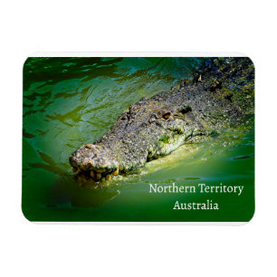 Northern Territory Saltwater Crocodile Magnet