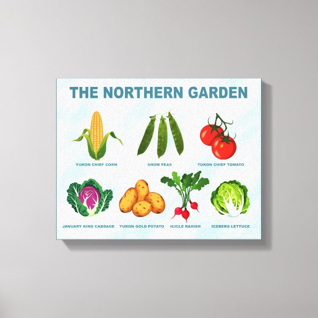 Northern Vegetable Garden Canvas Print (Front)