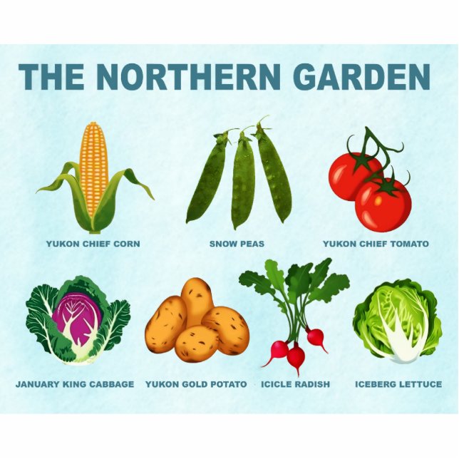 Northern Vegetable Garden Photo Sculpture Magnet (Front)