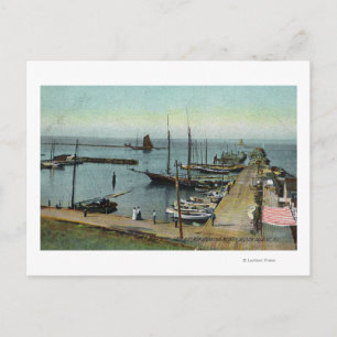 Northern View from East Harbour Postcard