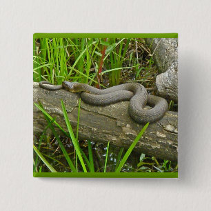 Northern Water Snake Basking on Log Multiple Items 15 Cm Square Badge
