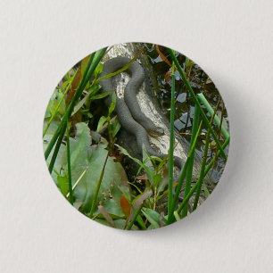Northern Water Snake Basking on Log Multiple Items 6 Cm Round Badge