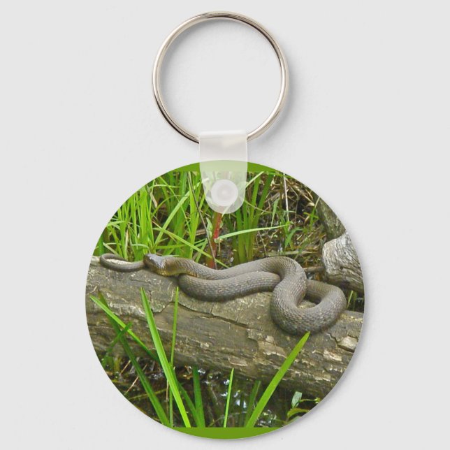 Northern Water Snake Basking on Log Multiple Items Key Ring (Front)