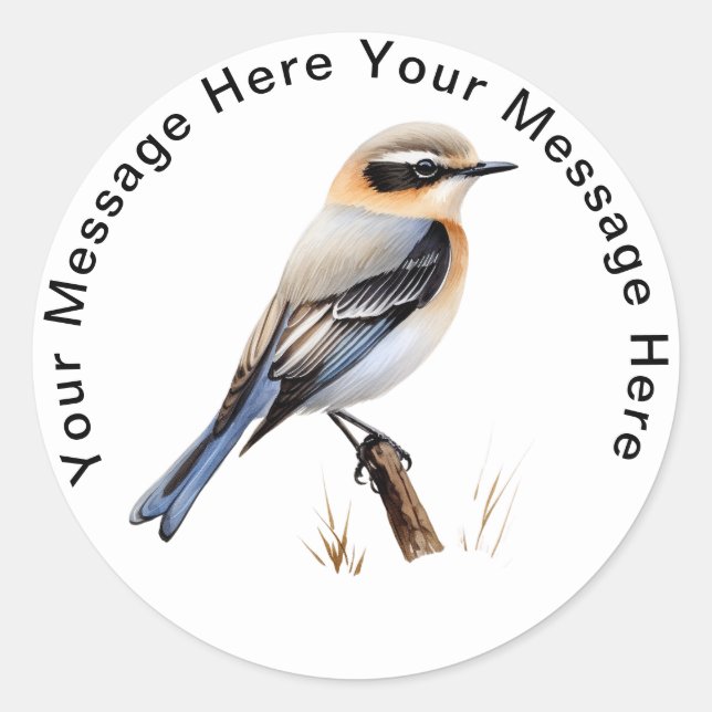 Northern Wheatear Classic Round Sticker (Front)