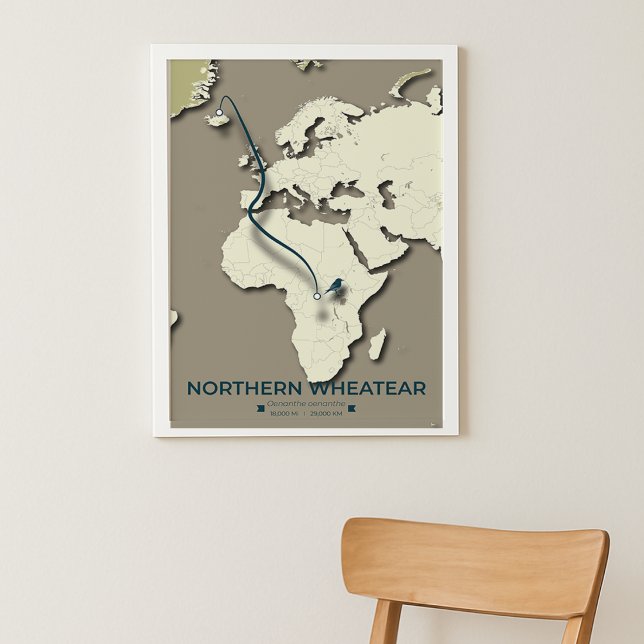 Northern Wheatear Migration Map – Minimalist Poster (Creator Uploaded)