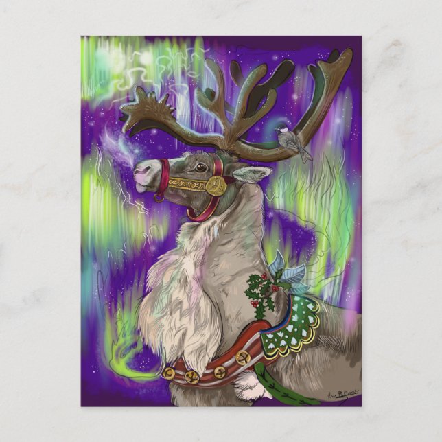 Northern Wonders PostCard (Front)