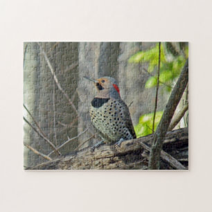 Northern Yellow-Shafted Flicker Jigsaw Puzzle