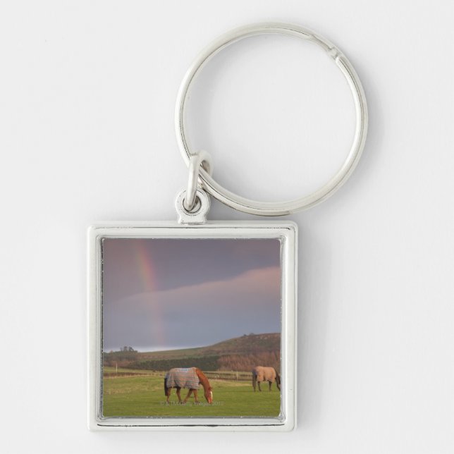 Northumberland, England Key Ring (Front)