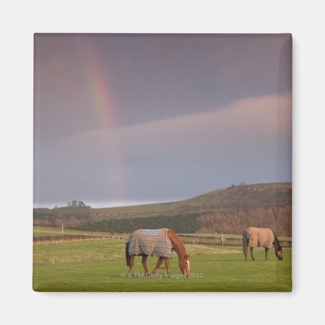 Northumberland, England Magnet (Front)