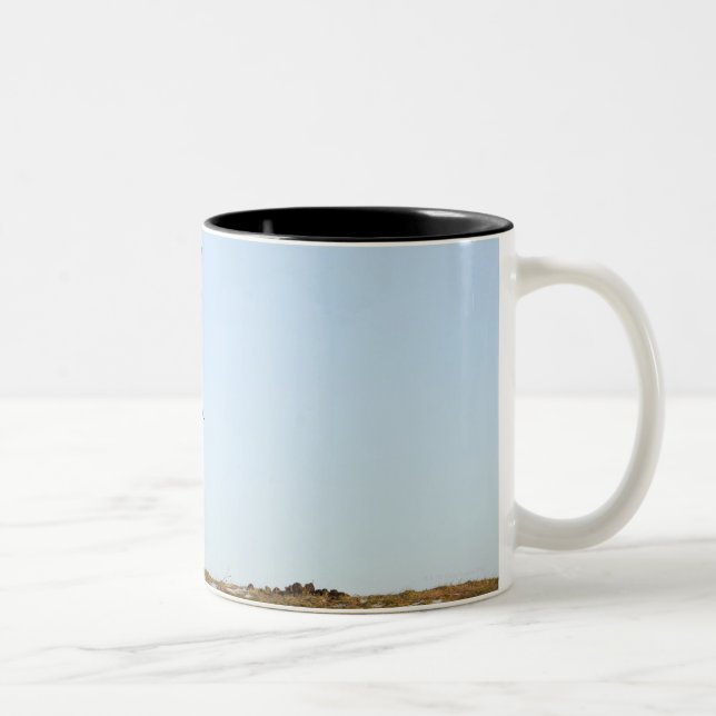 Northumberland, England Two-Tone Coffee Mug (Right)