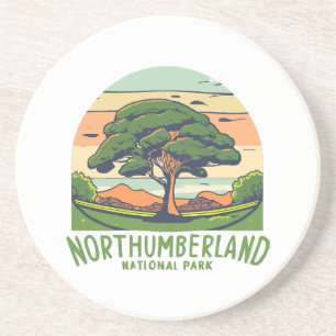 Northumberland National Park Sycamore Gap Tree Eng Coaster