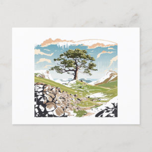 Northumberland National Park Sycamore Gap Tree Postcard