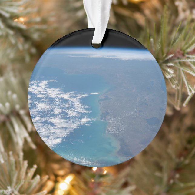 Northward The Florida Peninsula. Ornament (Tree)
