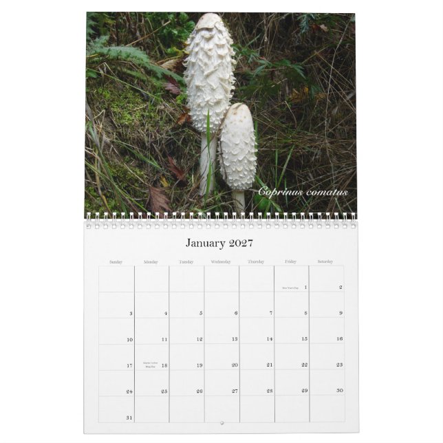 Northwest Mushroom Calendar 2010 (Jan 2027)