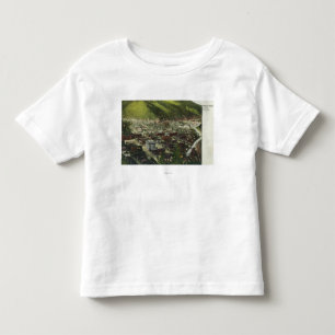 Northwestern Aerial View of TownWallace, ID Toddler T-Shirt