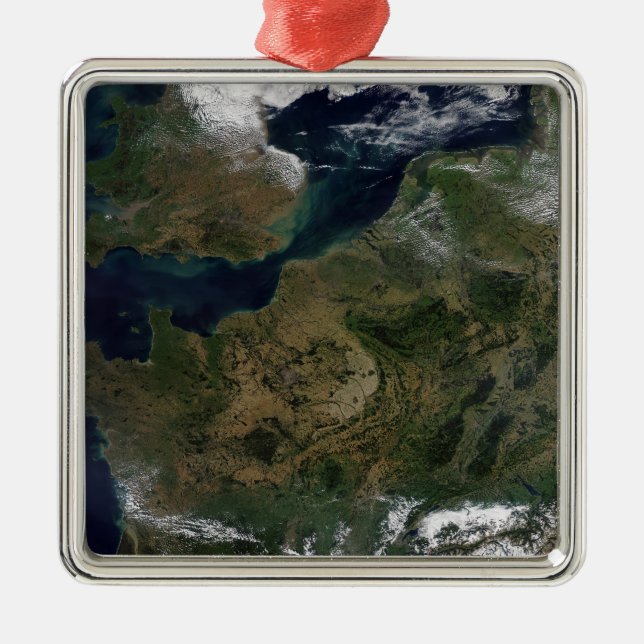 Northwestern Europe Metal Tree Decoration (Front)