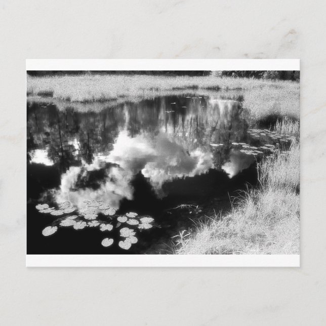 Northwoods Lake with beautiful reflected Landscape Postcard (Front)