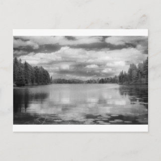 Northwoods Landscape Postcard