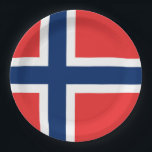 Norway Flag Paper Plate<br><div class="desc">Norway Flag</div>