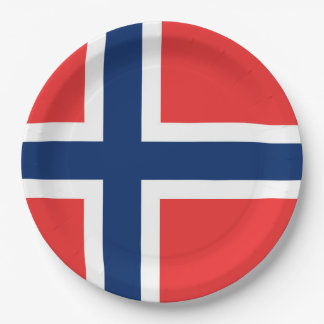 Norway Flag Paper Plate
