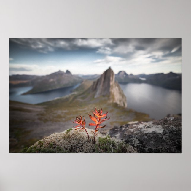 Norway Landscape Poster (Front)