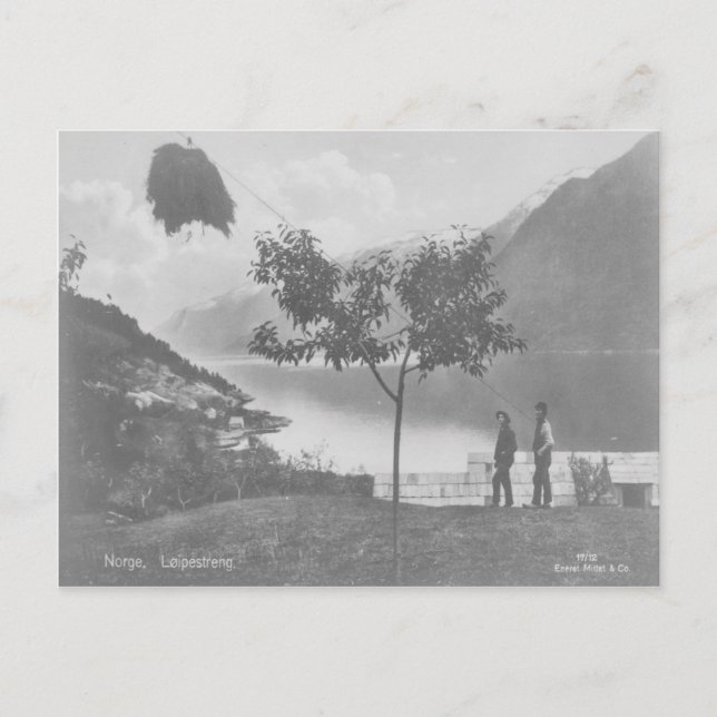 Norway Loipestreng Vintage Postcard (Front)