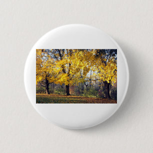 Norway Maples 6 Cm Round Badge