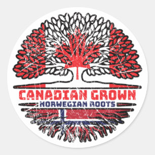 Norway Norwegian Canadian Canada Tree Roots Flag Classic Round Sticker