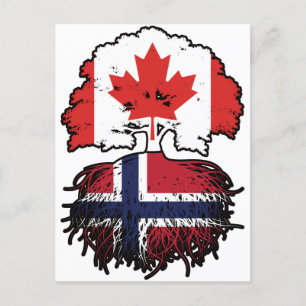 Norway Norwegian Canadian Canada Tree Roots Flag Postcard